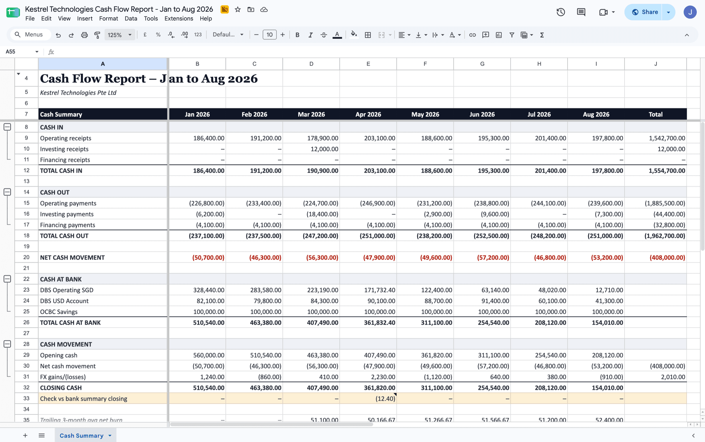 Cash Flow report